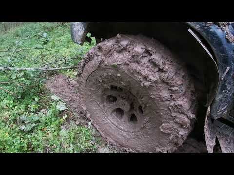 Станция Соцевино, город Галич, урочище Тушебино. Руины огромных соборов в лесах, медвежьи следы.