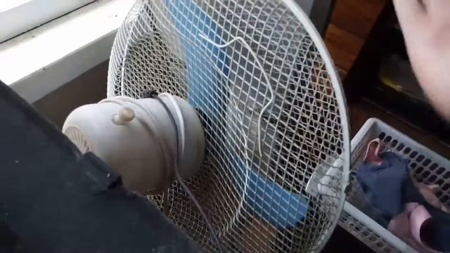 Учитель Кода и Алгоритмов