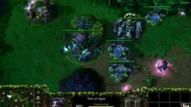 Warcraft III TFT: [NE]PhoenixStar Vs. [OR]|GM|Panda (PhoenixStar FPVoD) - Part 1 Of 2