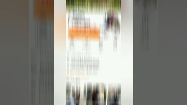 #VECTOR #FORTUNE #DYAN#44.333 #228.mp4