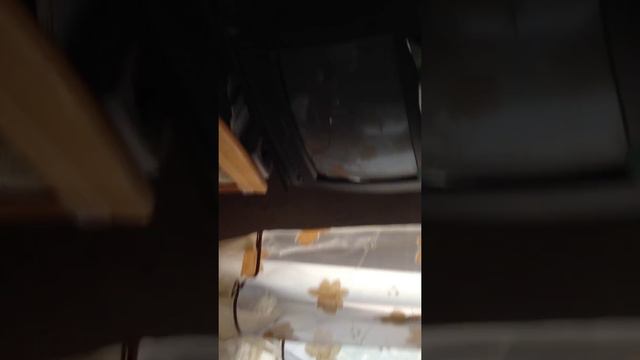 Дома у сеструхи. Самолеты и рыбки.