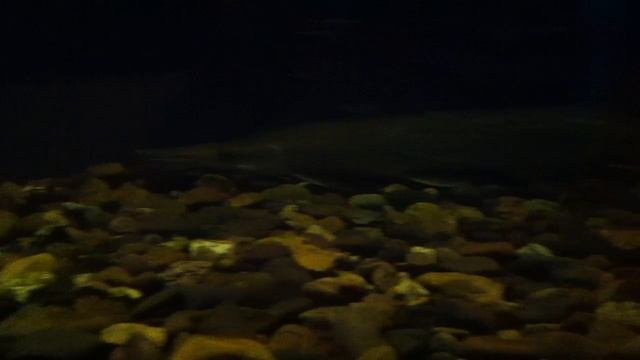 Museo Reyes Meza | Nuevo Laredo, Tamaulipas, México | Centro Cultural De Nuevo Laredo