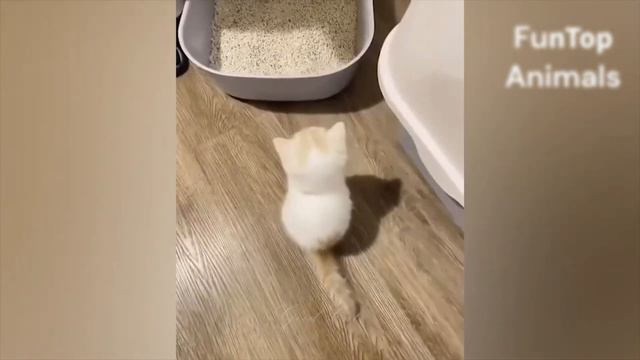 70036e001dc0eea8c432f719173f95c2