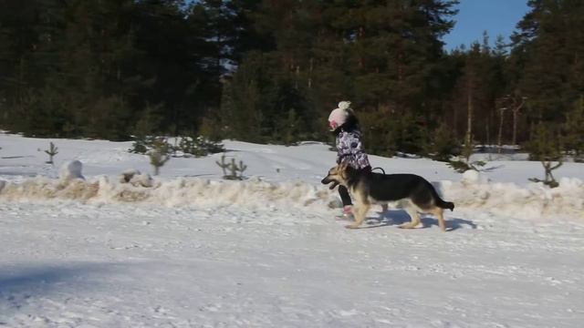 Полина и Антарес Солярис Братислава 6,5 месяцев