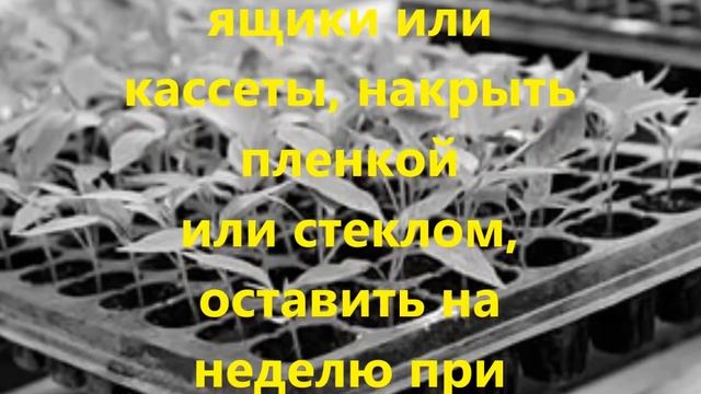 887ec623aae3858ff363cbb334847582