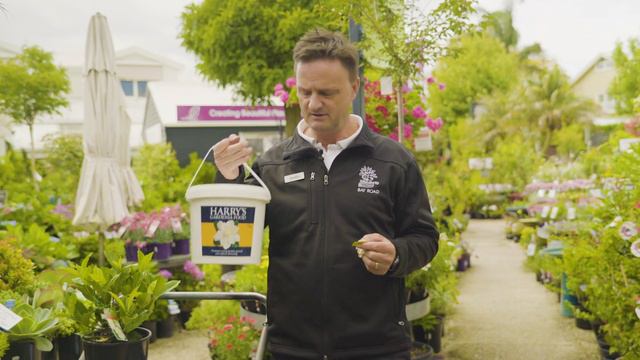 8dc82c86a7e87420cc1452463143f698