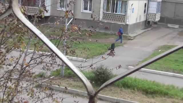 ИСТОРИЯ ОДНОГО СТУЛА