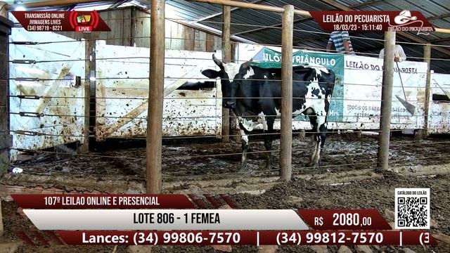 12164a1691fbf7d9bf1a30680ccc6dfe