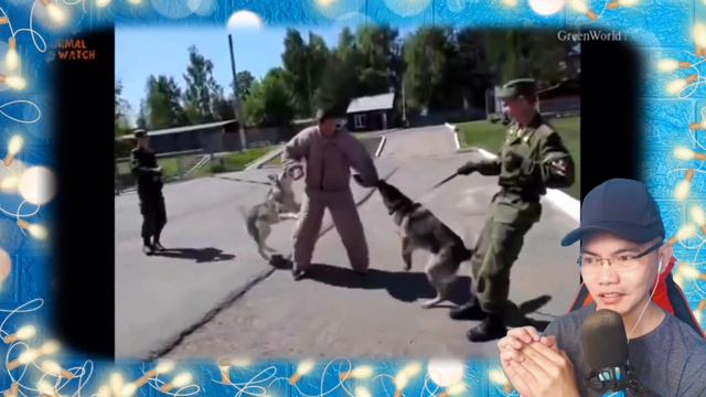 RUSSIA’S POWERFUL & SECRET WOLF DOGS - VOLKOSOBY 🇷🇺 (REACTION)