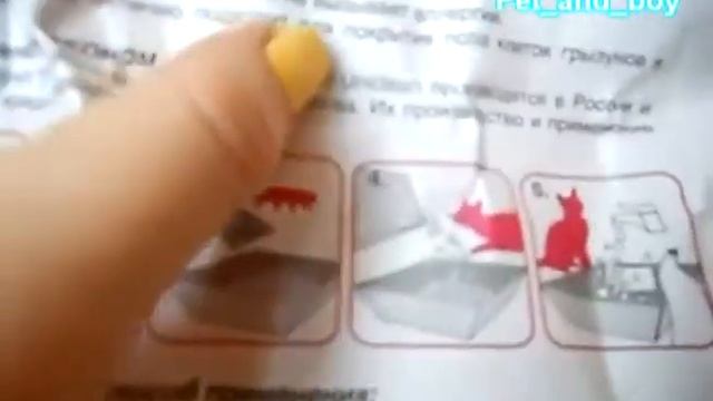 Обзор покупок в зоомагазине для морской свинки