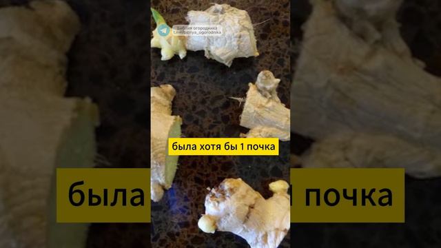 5d5dd46d38e45dbb24dcd556bcf19daa