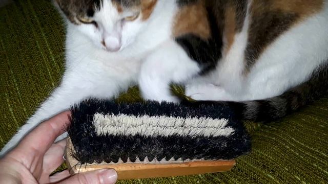 ВОТ для чего ОПЫТНЫЕ хозяйки кладут ГУБКУ в стиральную машину.