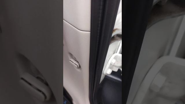 Ниссан - стиль и мода на спортивных событиях