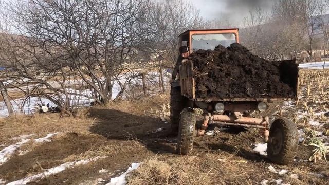 Трактор Т 16 на Работе  Test Drive Tractor Т16