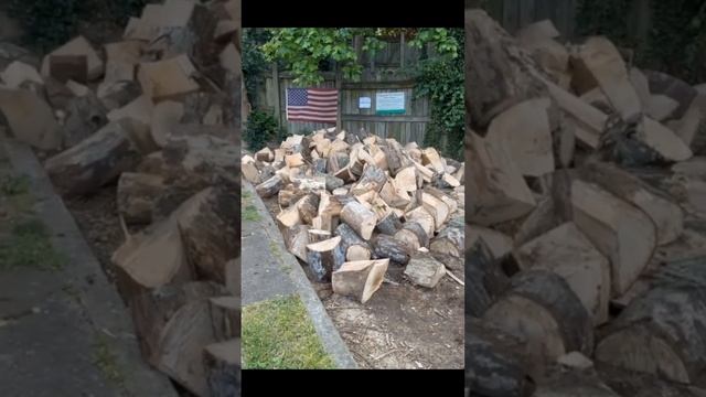 В пригороде Вашингтона всем желающим раздают бесплатные дрова