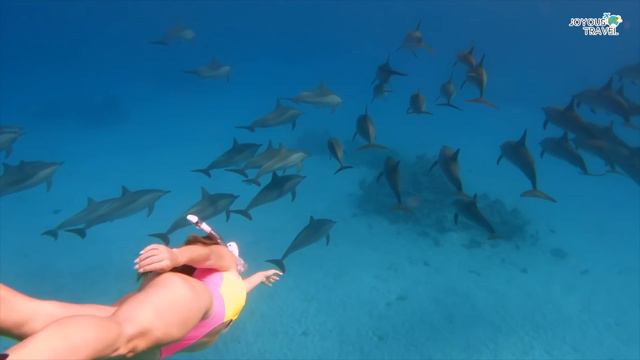 Amazing Places To Visit In Egypt - Travel Video