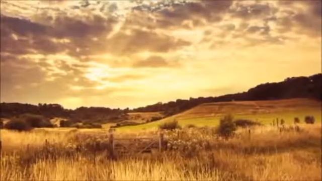 C4b9d825deaf0425a630a895bd6d9c6b