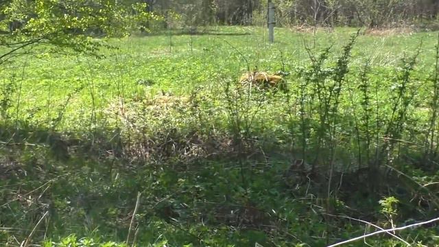 39f6ab6d8a728c153098a70317af946d