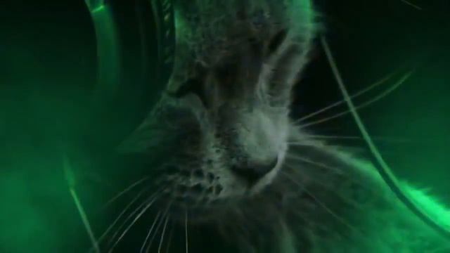 F2e4d6c625028c1544f21966e4f853be