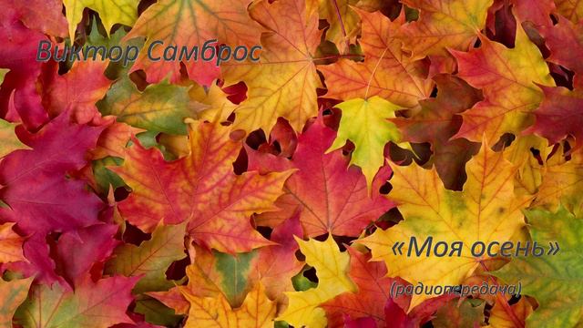 5d1a3720480a1caa20a8543a9f0270ce