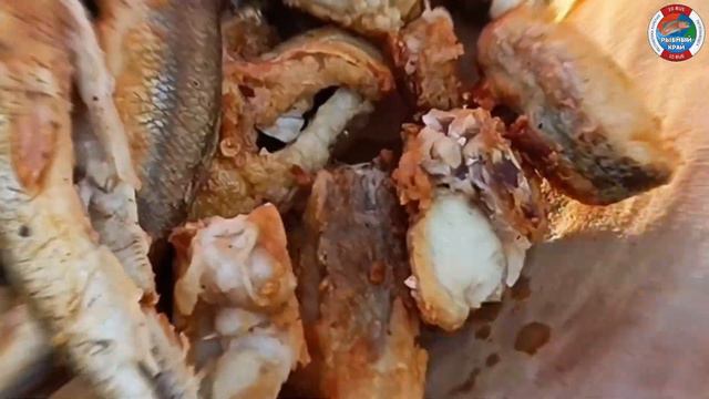 Чир и корюх жаренные на сковородке!👍