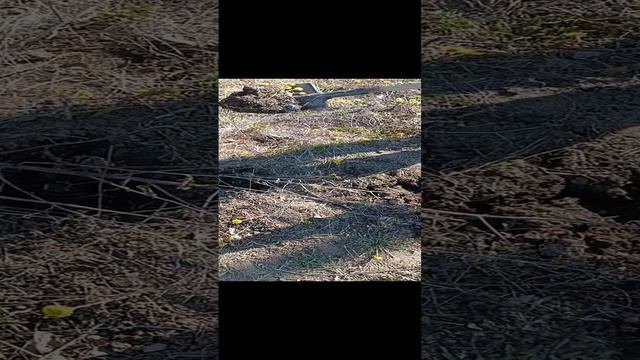 1000003777.mp4