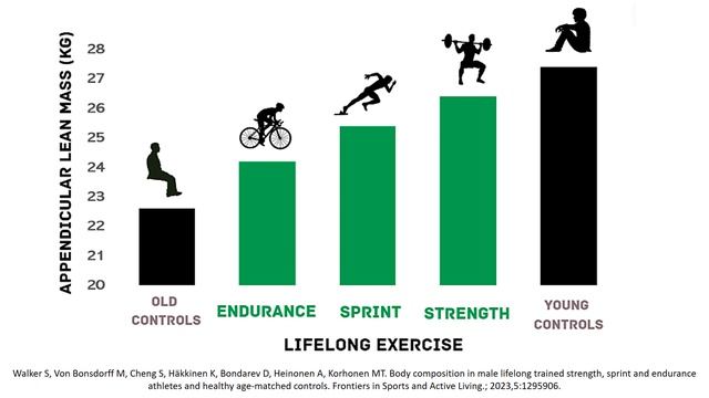 Состав тела мужчин, занимавшихся на протяжении всей жизни разными тренировками