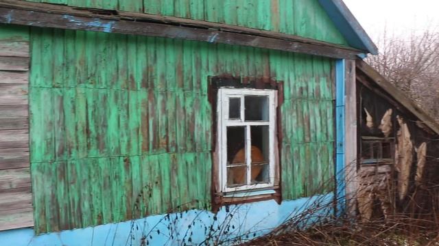 Зеленый домик в мертвой деревне / Зона отчуждения рядом