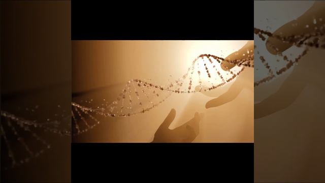 Матрица «Код Бога, прописанный в твоем ДНК».