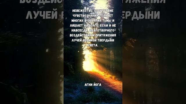 #агнийога#цитатысосмыслом#эзотерика#оккультизм