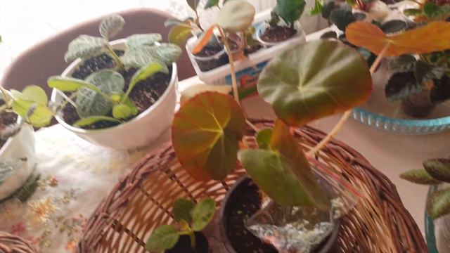 85e3d4c341406dfeeb822c2c7bd0b454