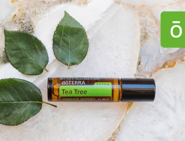 Чайное дерево, эфирное масло DoTERRA