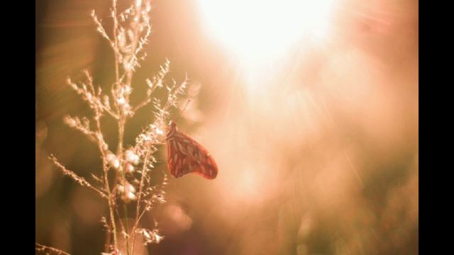 ГРИГОРИАНСКИЕ ПЕСНИ_432 Гц _ ЛЕЧЕБНАЯ МУЗЫКА