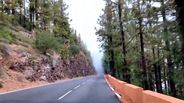 По серпантинам Тенерифе и острова Гомера, в поисках вдохновения ?