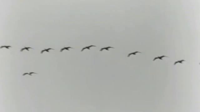 Rüstəm Quliyev - Baharın 17 anı Filmdən epizodlar