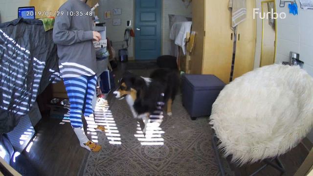 59225e7a7ae75425cad29a6aab45737e