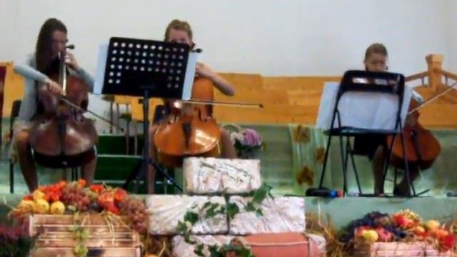 три скрипки