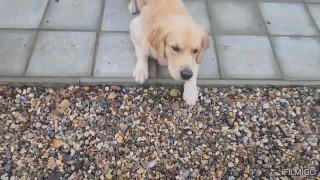 D6739621a7889d141abaf73027e00a7e