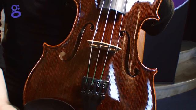 Nicole Wilson Hofner AS260