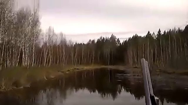 8026d33020769b9da69c306de3478b82