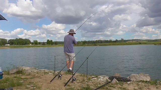 Will Carp Eat Berkley Gulp Fake Corn? (Carp Bait Experiment)