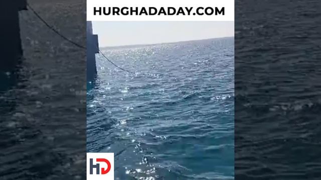 В Хургаде в глубинах Красного моря строится войны музей подводной