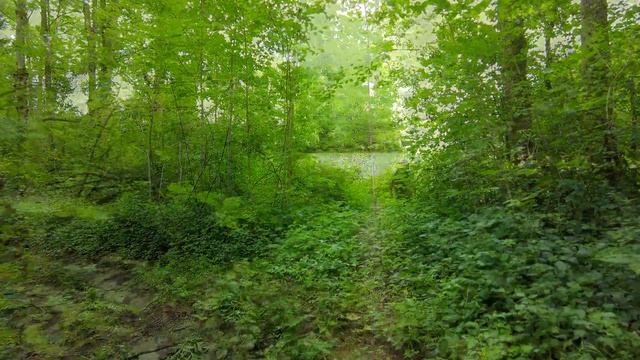 ПОИСК ЗОЛОТА В ГЕРМАНИИ. Где искать речное  Золото в Баварии. Search Gold In Germany.