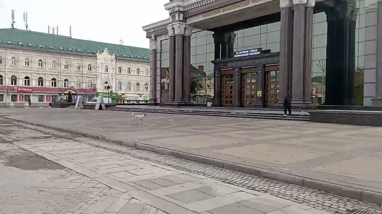 19 У самоката и в делах