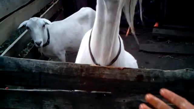 Fe8284a7b10b83fba924efa78215cd2c