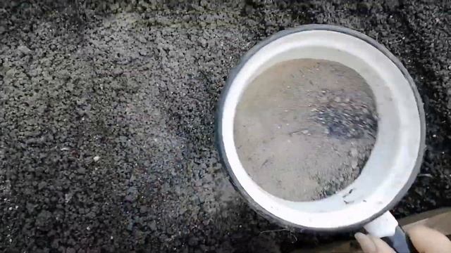 Сею РЕДИС так и вредителей нет!