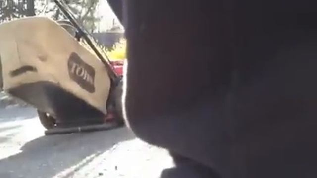 Coldstart Of My Dads Mower/mine