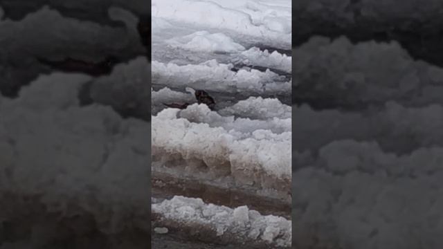 Скоро весна.