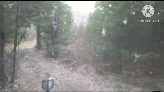 Поездка на Белую в октябре