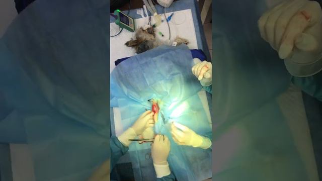 4e4dfa04c76912cbf2381593d49669e2